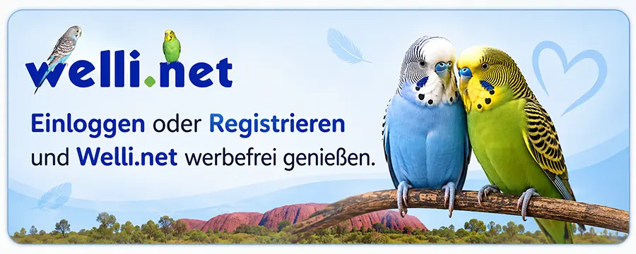 Kostenlos bei Welli.net registrieren